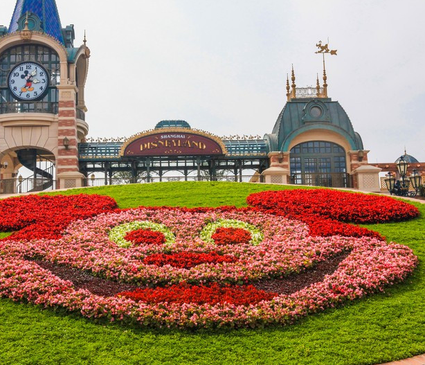 上海迪士尼乐园选择吉之美饮水方案！