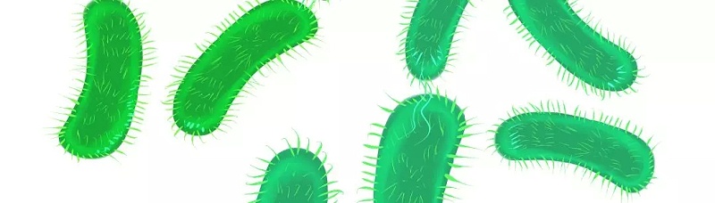 史密斯直饮机 史密斯直饮机